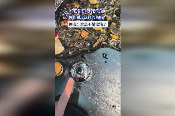 x7x7x7任意槽蘑菇-x7x7x7任意槽