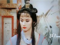 李师师的三港版谢宁;台湾李师师