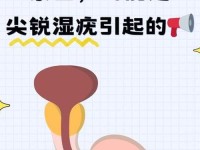 7岁男宝小鸡上长了个小痘痘(男性湿锐疣早期图片)
