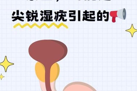 7岁男宝小鸡上长了个小痘痘(男性湿锐疣早期图片)