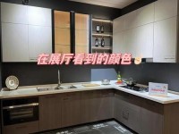 把坤放进欧派会怎么样—欧派自己的铰链好吗