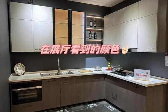 把坤放进欧派会怎么样—欧派自己的铰链好吗