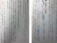 的な主张を缲り返す日语翻译、雷神的な主张を繰り返す