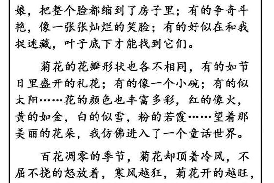 错一道题在菊花里放一支笔—错一题菊花放一支笔