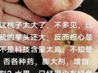 啊~桃子怎么这么大日本视频(日本最好的桃子品种)