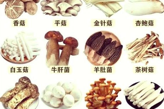 7x7x7x7x7任意槽MAB蘑菇,长粗蘑菇的做法大全