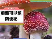 吃瓜黑料爆料蘑菇-蘑菇新闻
