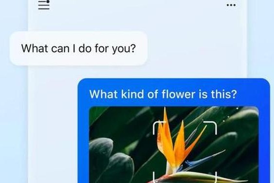 bingai聊天—聊天app下载大全
