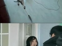 电影姨母的诱惑大结局、康姨母原著结局