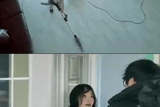 电影姨母的诱惑大结局、康姨母原著结局