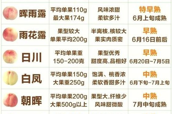 精美日产二线三线水蜜桃_日本桃品种简介