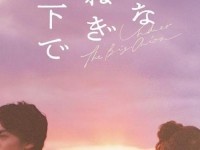 g0g0g0日本免费观看电视剧—日韩电视剧高清免费看