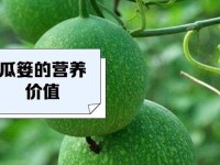 91吃瓜中心17c国产一起草_大瓜草什么时候开