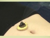 国产一级精品肚脐眼精品_成人肚脐的作用和功效