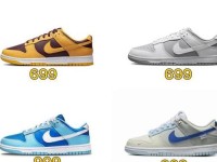 nikedunk毛茸茸—Dunk 品牌介绍