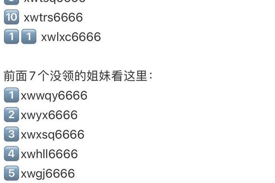 qzdsq一码二码三码四码(流氓版QQ软件)