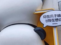 成都搡BBBB搡BBBB、成都 耍