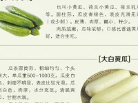 甘雨黄瓜?自己出牛奶(牛奶加黄瓜什么意思)