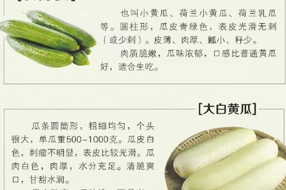 甘雨黄瓜？自己出牛奶(牛奶加黄瓜什么意思)