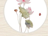 比喻肉莲花比喻什么 莲花喻指什么