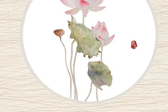 比喻肉莲花比喻什么 莲花喻指什么