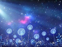 30分钟激励短片视频素材—二人世界高清视频素材哪里找