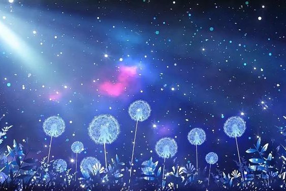 30分钟激励短片视频素材—二人世界高清视频素材哪里找