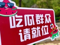 吃瓜不打烊 守瓜棚送饭