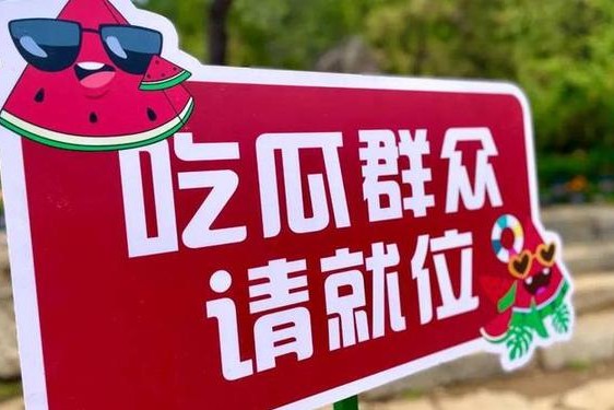 吃瓜不打烊 守瓜棚送饭