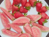 草莓丝瓜芭乐鸭脖翡翠手镯-丝瓜,芭乐,猫咪,草莓,小猪,向日葵,榴