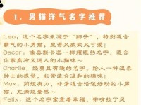 miya188最新网名是多少-猫咪成人最新地域网名怎么取猫咪