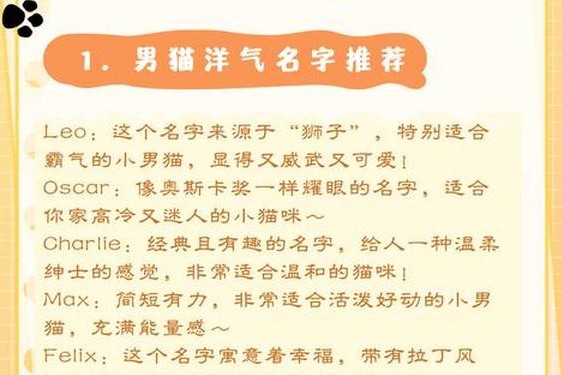 miya188最新网名是多少-猫咪成人最新地域网名怎么取猫咪