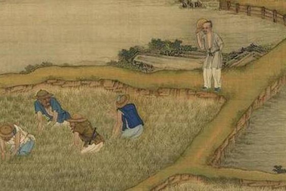 开垦母亲肥沃的土地,开艮母亲肥润的土地