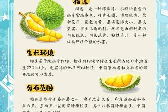 91榴莲丝瓜草莓黄瓜榴莲;91香蕉榴莲丝瓜草莓黄瓜的推荐理由