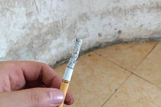 xk8012苏清歌的优势和特点-小苏大苏区别
