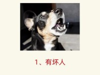 等不及在车里就来_老伯等不及了在楼道里做