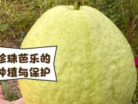 芭乐ios最新版官网下载入口—芭乐ios版下载安装官网