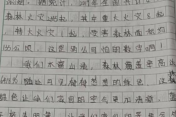 阿？5话我需要灭火(一年级消防员灭火写话)