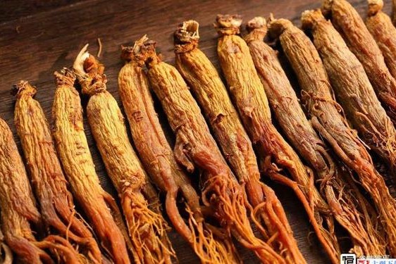 丰年经的继拇中文与其他版本差异、丰年经继拇是免费的吗