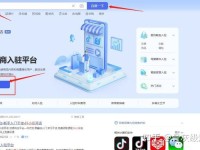 9.1抖音网站,抖音入口网站