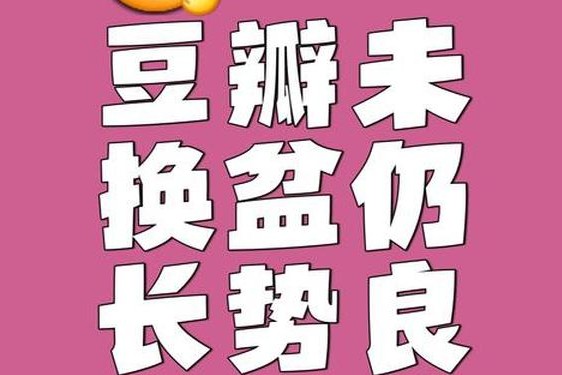 s货是不是欠g了(你是g还是s是啥意思)