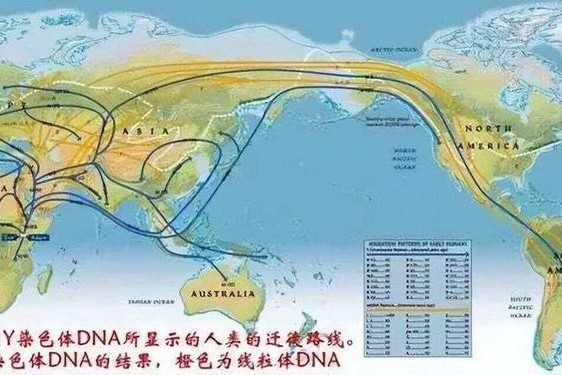 非洲人性功能强大的基因研究-非洲人性功能强大跟什么有关？