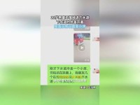 66m66模式成长视频,66m66模式官方