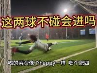 两个球球晃来晃去 这两个球球一直摇晃个不停
