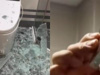 9分10秒头撞玻璃视频大全—9分10秒头撞玻璃