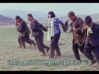老干棒的媳妇果儿和谁结婚了_老赵的幸福生活