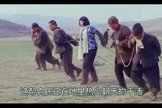 老干棒的媳妇果儿和谁结婚了_老赵的幸福生活