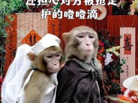 夫妻生猴子不盖被子,夫妻必须盖一个被子吗