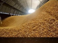 大豆行情网免费v 大豆行情网直接入口