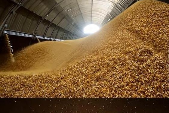 大豆行情网免费v 大豆行情网直接入口